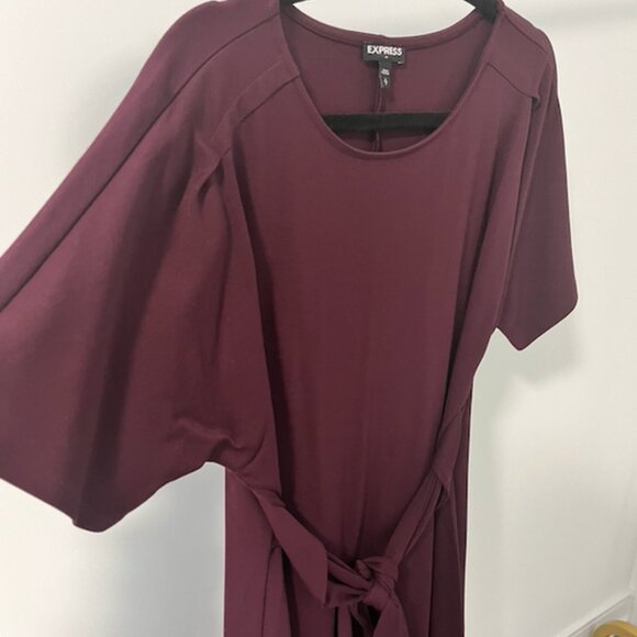 Plum T-Shirt Express Dress - Picture 1 of 2